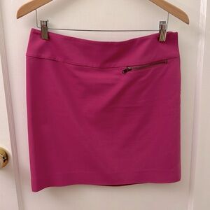 Ann Taylor Pink/Purple Skirt with Zipper Detail - Size 6P